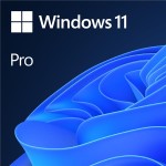 MS SB Windows 11 Pro 64bit [SW] DVD+++