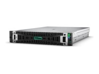 HPE ProLiant DL385 Gen11 9124 960GB