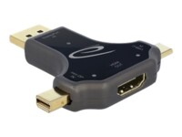 Delock Videoadapter Sort