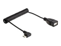 Delock USB-kabel 50cm