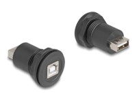 Delock USB-adapter Sort