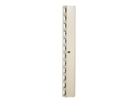 DIGITUS Professional Line DN-19 ORG-42U Rack-kabel styrepanel