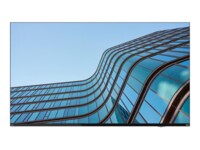 Lenovo ThinkVision E55 LFD 54.6'' IPS 3840 x 2160 (4K) DisplayPort HDMI 60 Hz