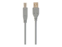 Gembird Professional series USB-kabel 1.8m Grå