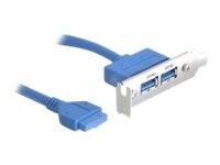 Delock Slot bracket USB-panel 40cm