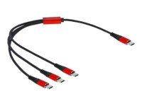 Delock USB Type-C kabel 30cm Sort