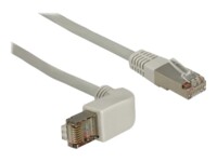 DeLOCK CAT 5e Kabel med afskærmning med folie og kobberfletning (SFTP 2m Patchkabel Grey