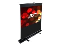Elite ez-Cinema F100NWH 100' Matte White