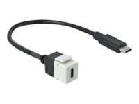 Delock Keystone module USB Type-C kabel 25cm Hvid
