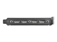 StarTech.com 4 Port USB A Female Slot Plate Adapter - USB panel - 4 pin USB Type A (F) (USBPLATE4) USB-panel