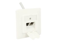 Delock Keystone Wall Outlet Hvid