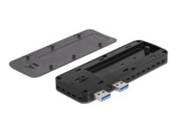 DeLOCK Ekstern Lagringspakning USB 3.2 (Gen 2) PCIe SATA NVMe PCIe