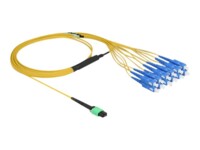 DeLOCK Fanout-kabel Fiberoptik 2m