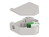 DeLOCK Monteringsadapter til kilestensjackstik DIN-skinne Grå Grøn Hvid