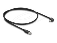 Delock USB 2.0 USB-kabel 50cm Sort