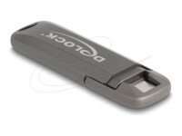 DeLOCK 256GB USB-C USB stick Grå