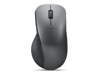 Lenovo Professional Blå optisk Trådløs Grå