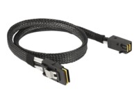 DeLOCK Serial Attached SCSI (SAS) internt kabel 50cm