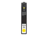 Primera Gul Blæk 053424