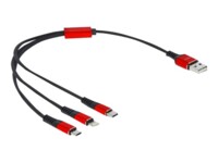 DeLOCK 3 in 1 Kun opladning Lightning-kabel 30cm