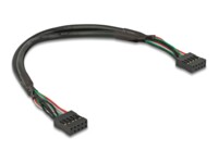 DeLOCK USB 2.0 USB-kabel 25cm Sort