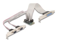 DeLock Parallel/seriel adapter Parallel RS-232