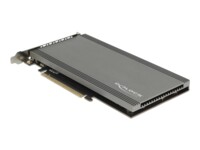 DeLOCK Interfaceadapter