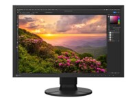 EIZO ColorEdge CS2400S 24' IPS 1920 x 1200 (WUXGA) HDMI DisplayPort USB-C