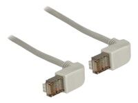 DeLOCK CAT 5e Kabel med afskærmning med folie og kobberfletning (SFTP 50cm Patchkabel Grey