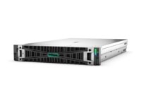 HPE ProLiant Compute DL380 Gen12 6505P 960GB No-OS