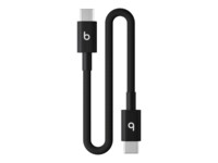 Beats USB 2.0 USB Type-C kabel 20cm Sort