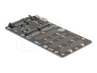 Delock Interfaceadapter