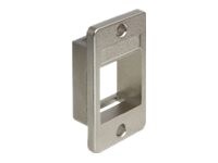 Delock Keystone Mounting for enclosures