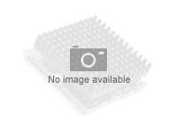 Intel Core i5-14600K 14 kerner LGA 1700 TRAY - u/køler