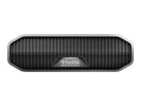 SanDisk Harddisk 6TB USB 3.2 Gen 2 7200rpm