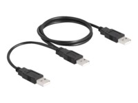 Delock USB-kabel 70cm Sort