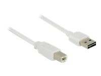 Delock Easy USB-kabel 1m Hvid
