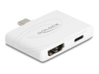 Delock Videoadapter