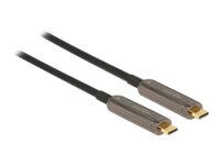 Delock Video/audiokabel 30m Sort