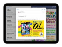 Apple 10.9-inch iPad Wi-Fi + Cellular 10.9' 256GB
