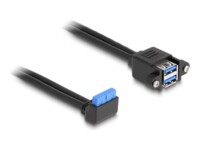 Delock USB internt kabel 50cm Sort