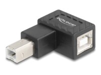 Delock USB-adapter Sort