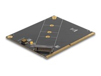 DeLOCK Lagringskontrol