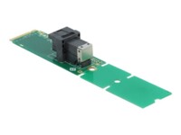 DeLOCK Adapter M.2 Key M to SFF-8643 NVMe 22110 / 2280 / 2260 Interfaceadapter