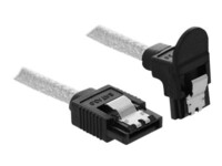 DeLOCK Seriel ATA-kabel Transparent 30cm