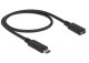 DeLOCK USB 3.1 Gen 1 USB Type-C forlængerkabel 1.5m Sort