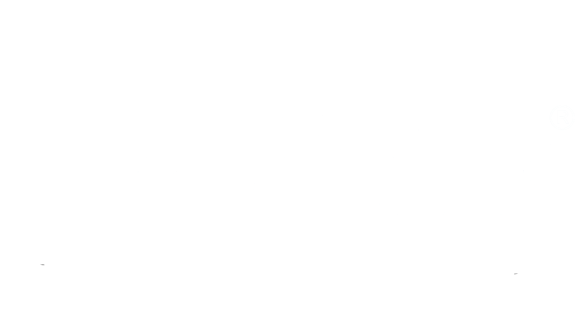 D-Link Banner Logo