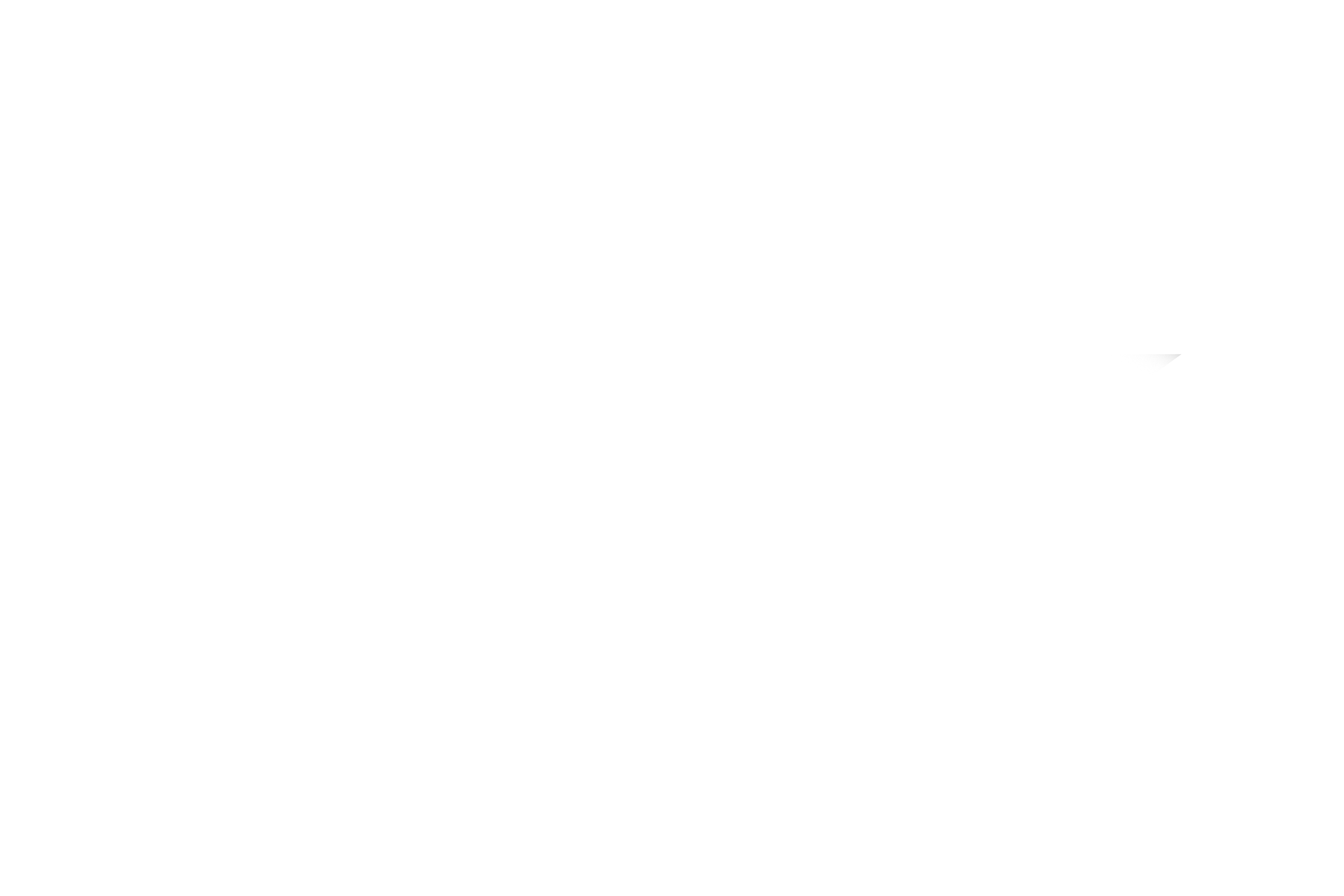 PNY Banner Logo