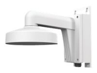 LevelOne CAS-7316 Monteringsbeslag til kamera