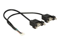 Delock USB intern til ekstern kabel 25cm Sort